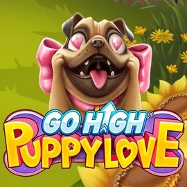 Enjoy Go High Puppy Love by RubyPlay – logo hosted on scoredcasinoo.de